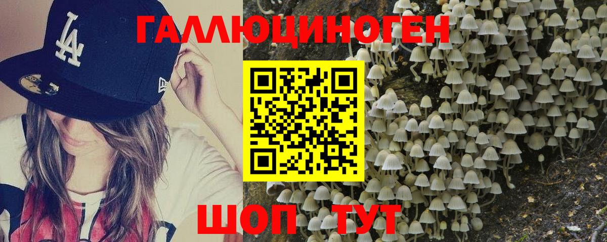 Галлюциногенные грибы Cubensis Дальнегорск