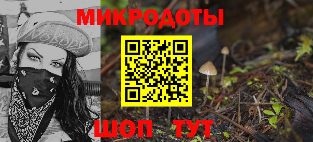 Дальнегорск  Псилоцибиновые грибы Cubensis  Вход с VPN 